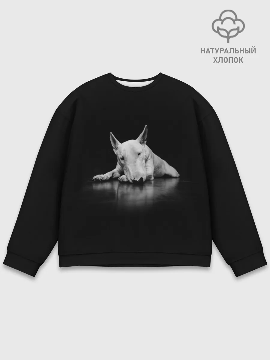 Мужской свитшот базовый / Puppy