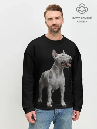 Мужской свитшот базовый / Bully