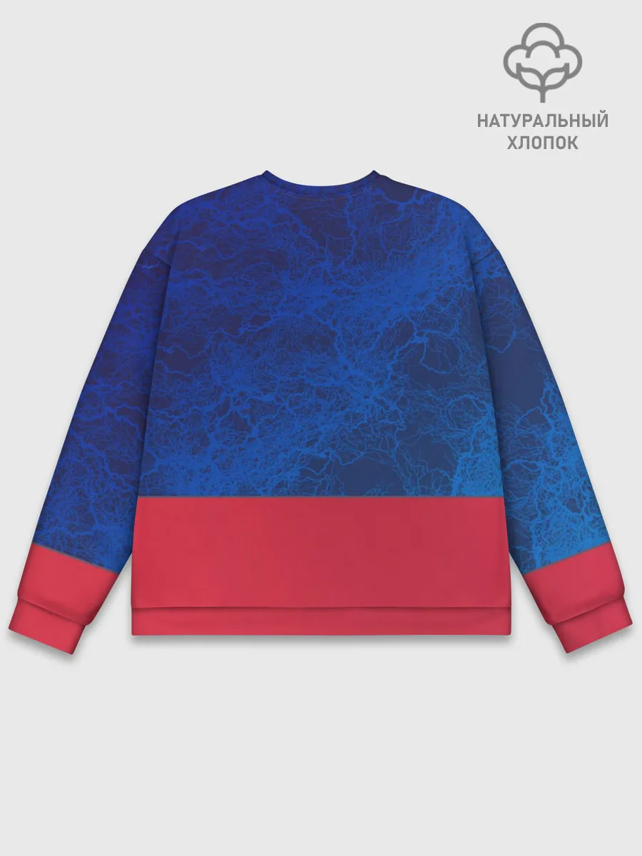 Мужской свитшот базовый / Genshin Impact