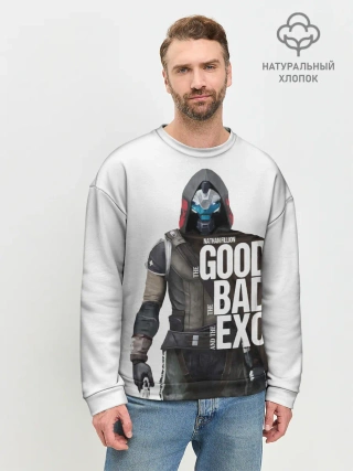 Мужской свитшот базовый / Destiny 2