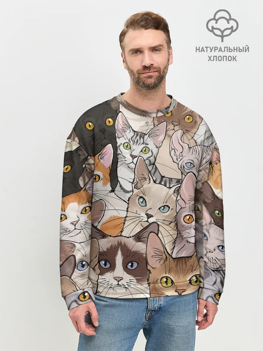 Мужской свитшот базовый / Котики