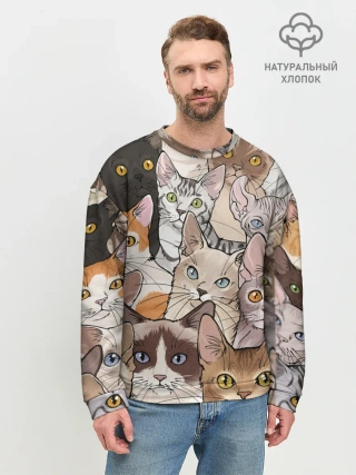 Мужской свитшот базовый / Котики