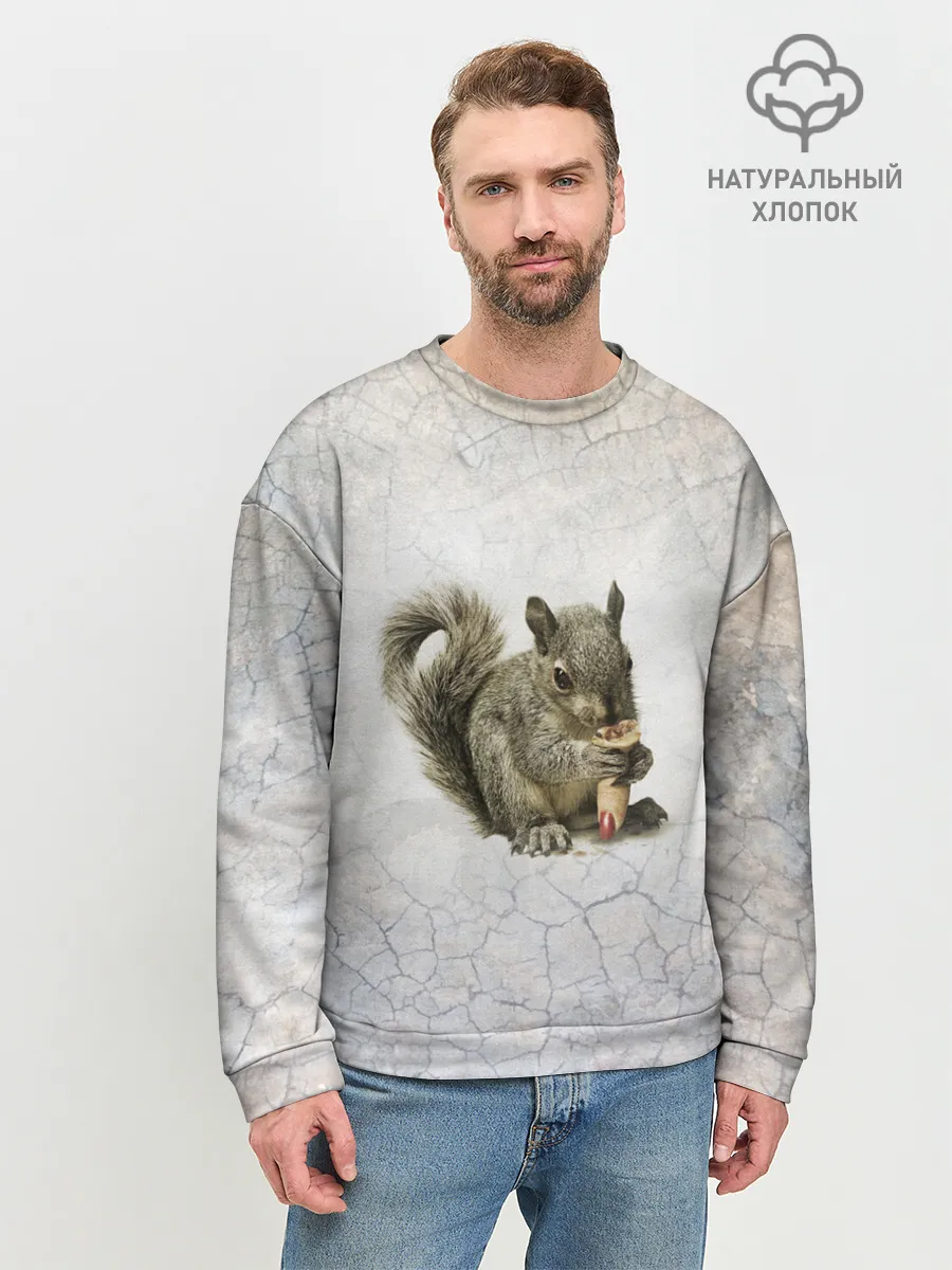 Мужской свитшот базовый / Белки