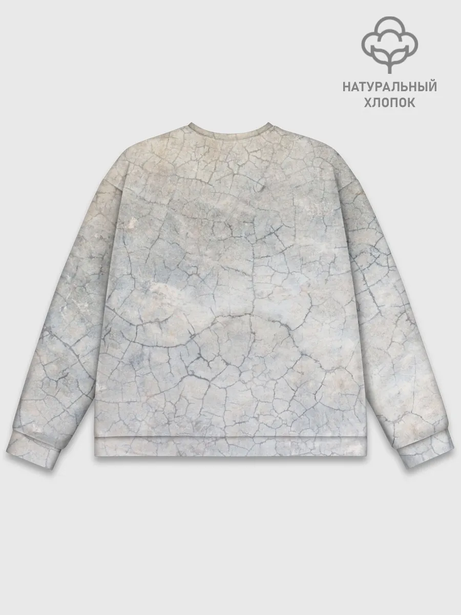 Мужской свитшот базовый / Белки