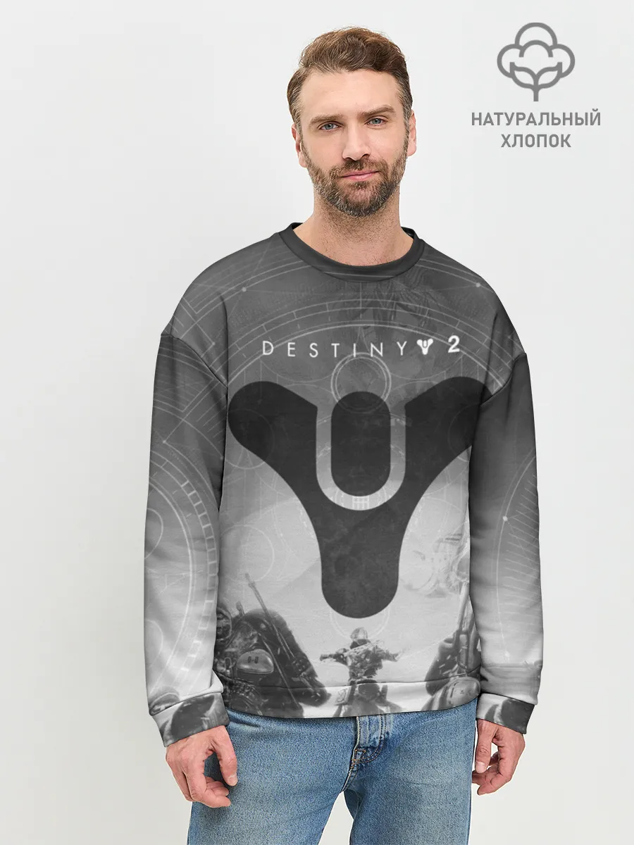 Мужской свитшот базовый / DESTINY