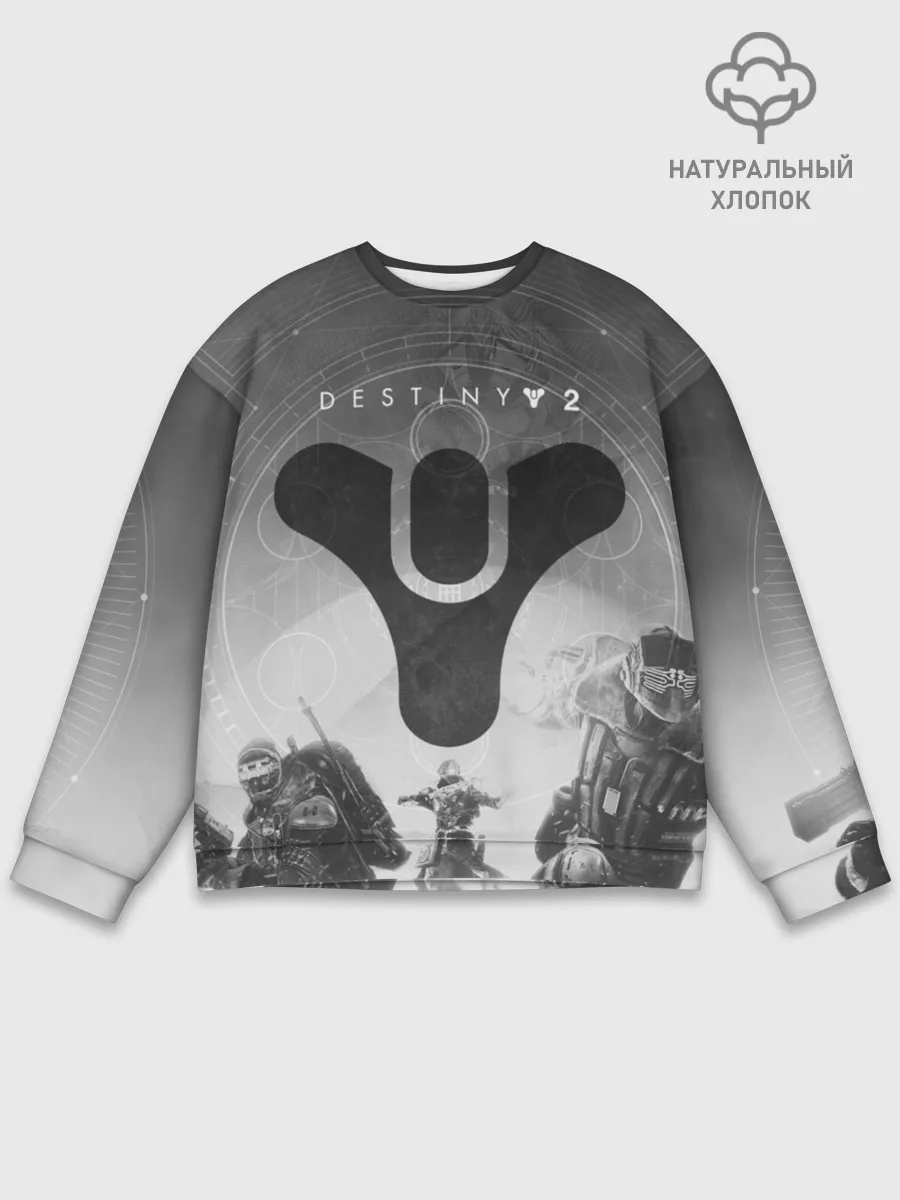 Мужской свитшот базовый / DESTINY