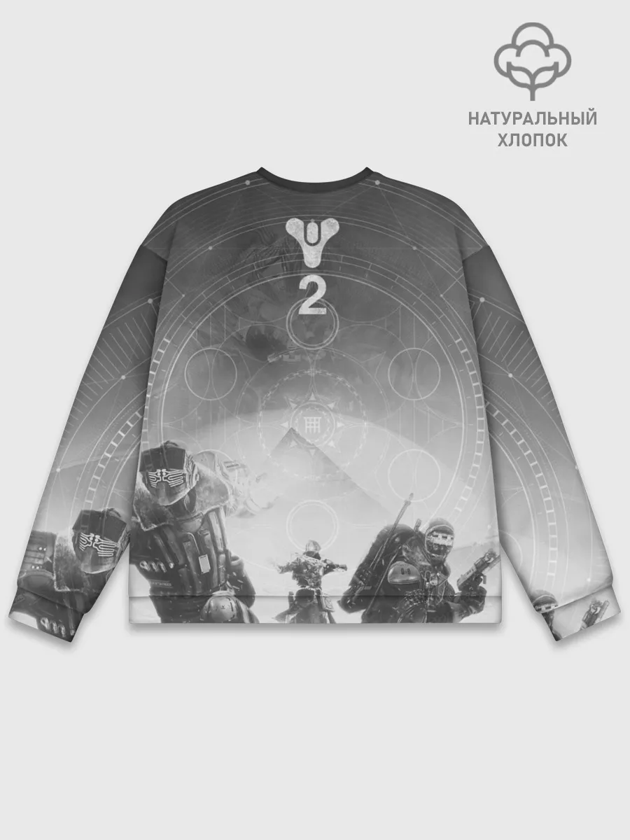 Мужской свитшот базовый / DESTINY