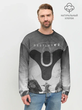 Мужской свитшот базовый / DESTINY