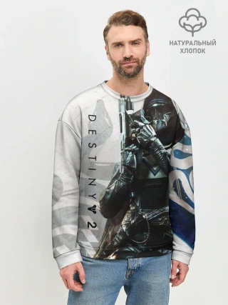 Мужской свитшот базовый / DESTINY, HUNTER