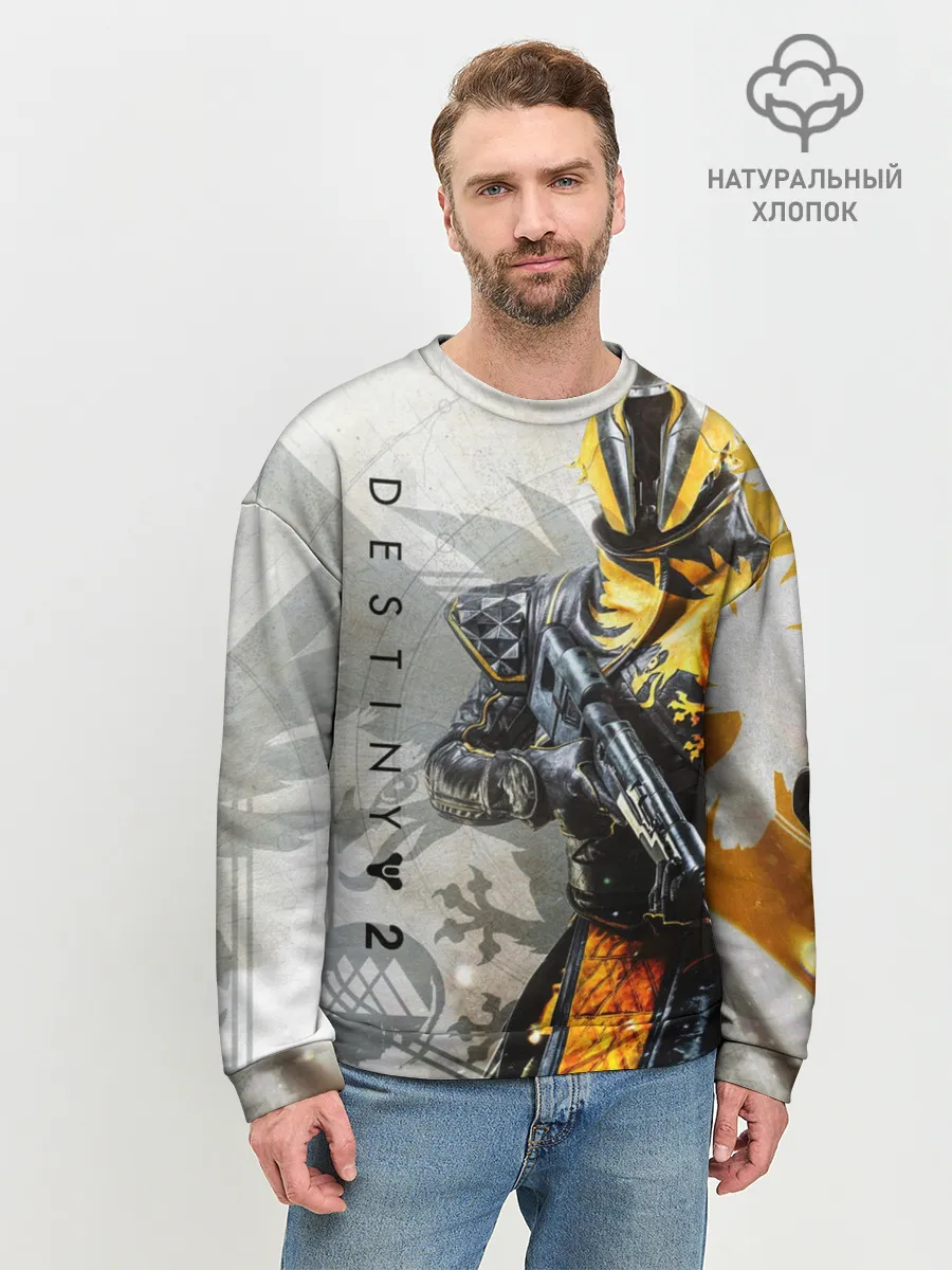 Мужской свитшот базовый / DESTINY, WARLOCK