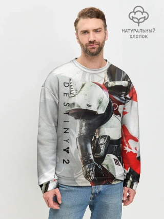 Мужской свитшот базовый / DESTINY, TITAN