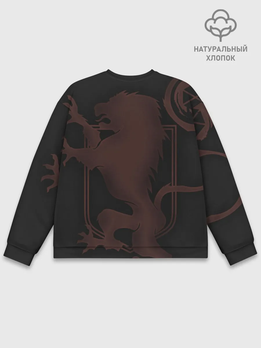 Мужской свитшот базовый / DESTINY, TITAN