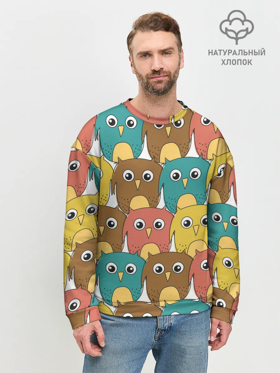 Мужской свитшот базовый / Разноцветные совы