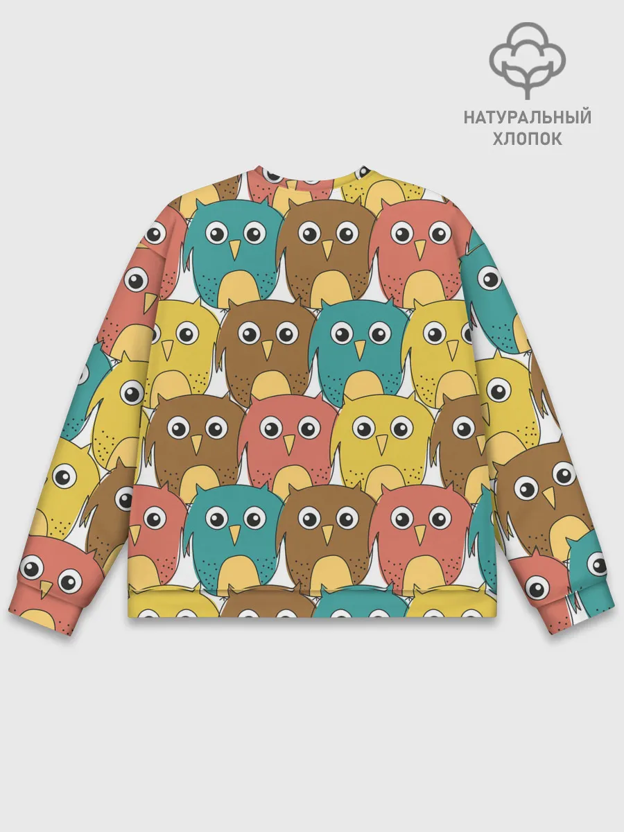 Мужской свитшот базовый / Разноцветные совы