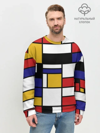Мужской свитшот базовый / Color blocking