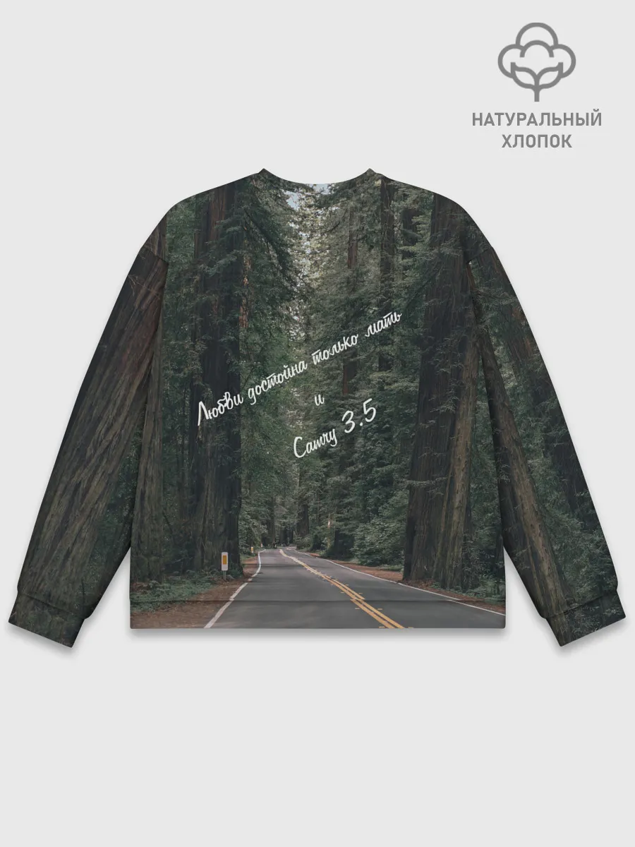 Мужской свитшот базовый / Camry 3.5 / Spotify - QR