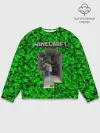 Мужской свитшот базовый / Minecraft