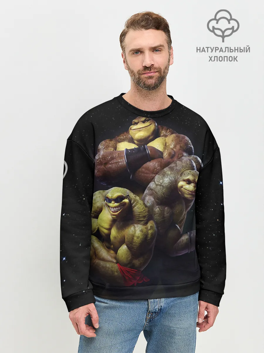 Мужской свитшот базовый / Battletoads
