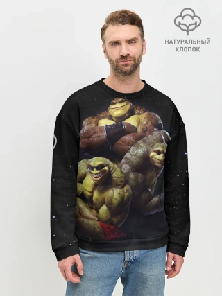 Мужской свитшот базовый / Battletoads