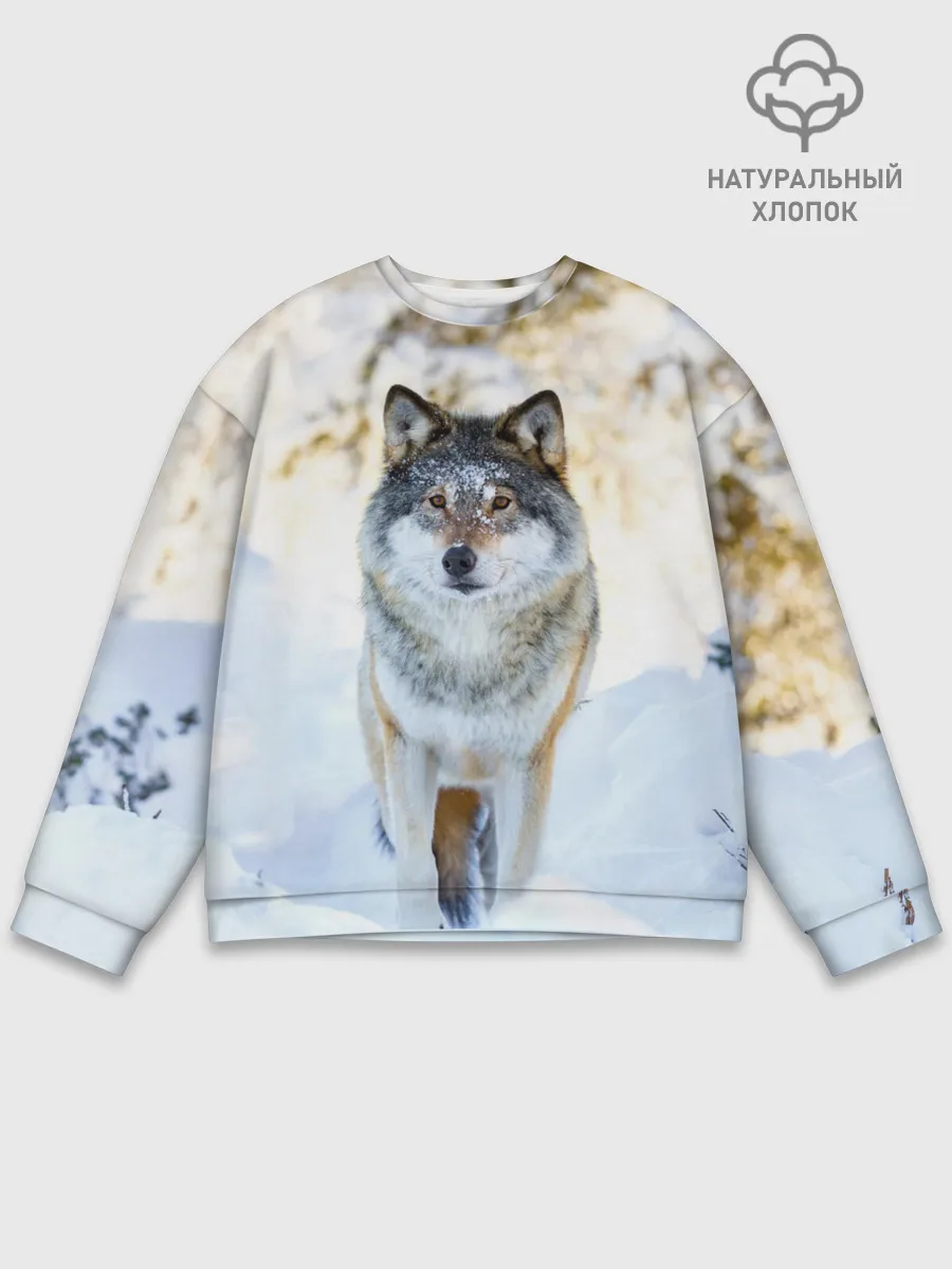 Мужской свитшот базовый / Я зимой