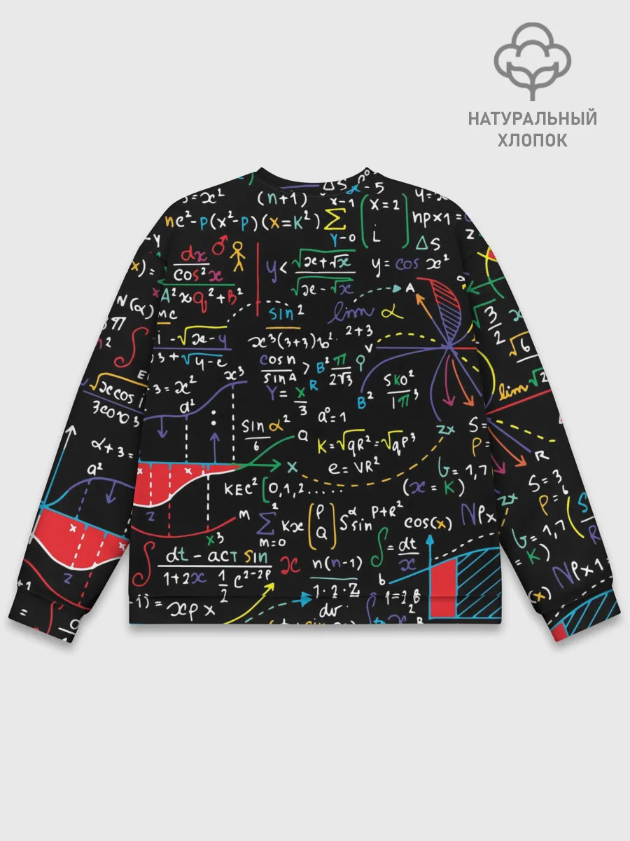 Мужской свитшот базовый / Математические формулы