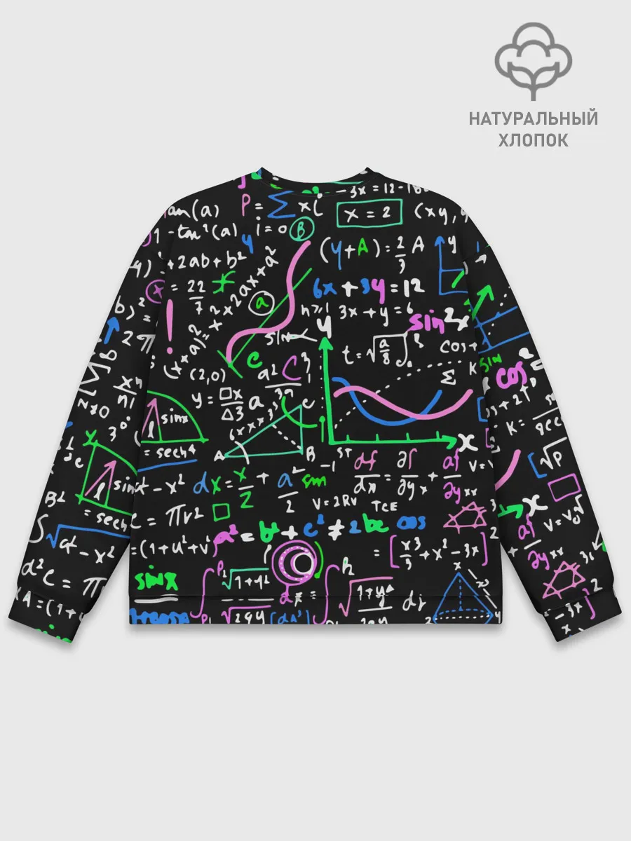 Мужской свитшот базовый / Математика Графики и Функции
