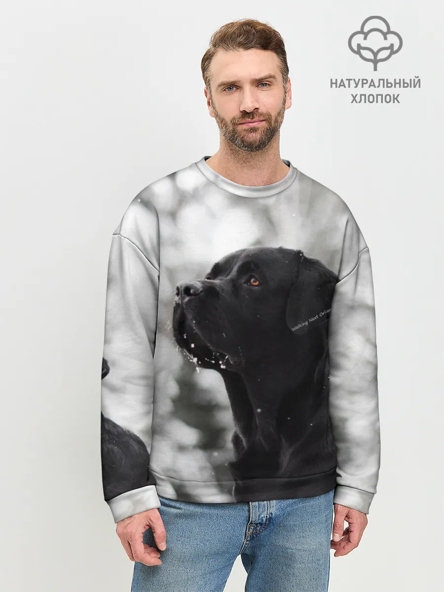 Мужской свитшот базовый / Лабрадор Марк