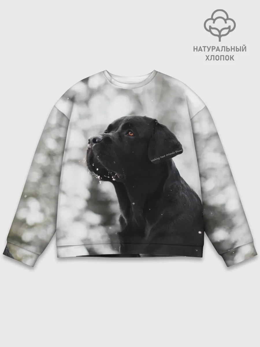 Мужской свитшот базовый / Лабрадор Марк