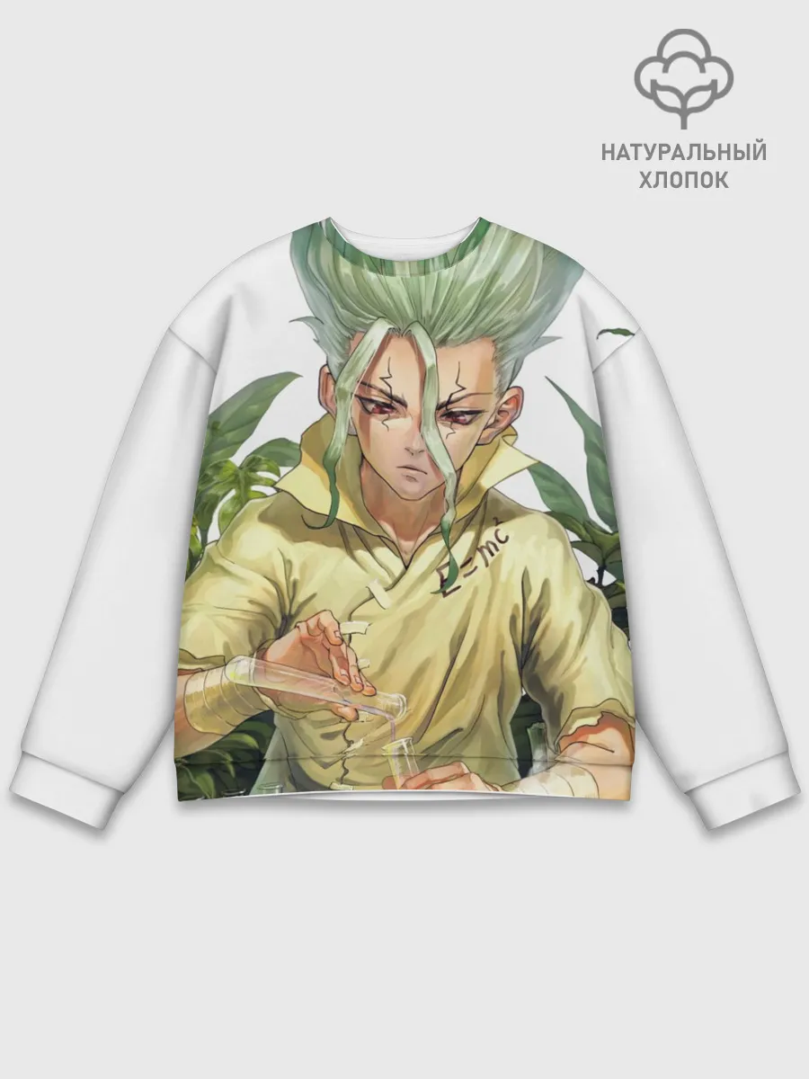 Мужской свитшот базовый / Доктор Стоун