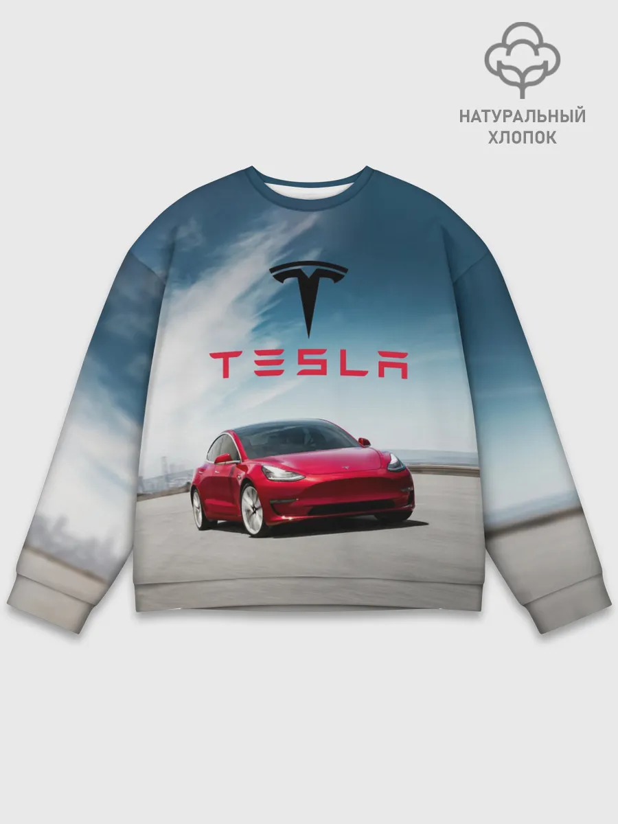 Мужской свитшот базовый / Tesla Model 3