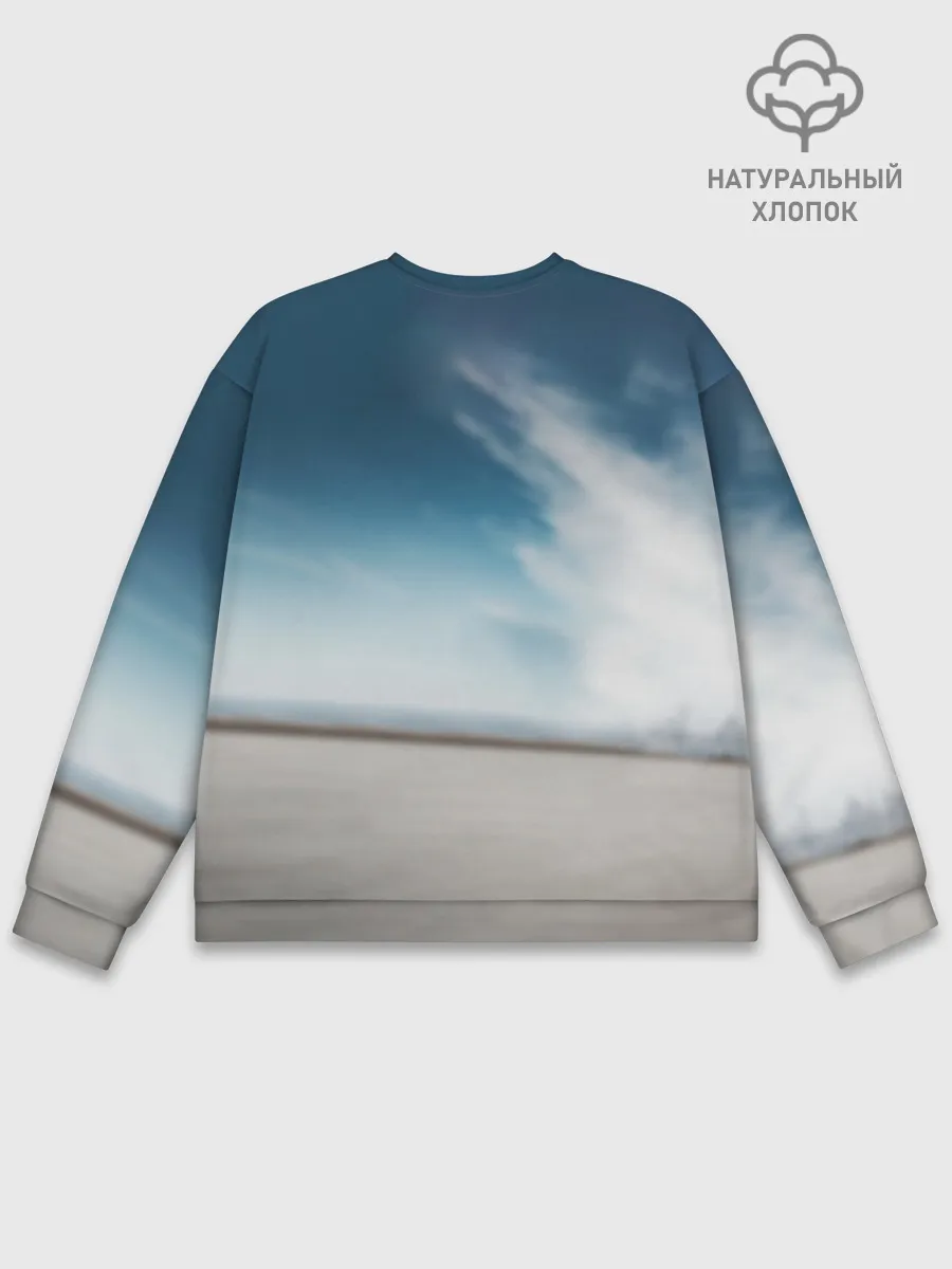 Мужской свитшот базовый / Tesla Model 3