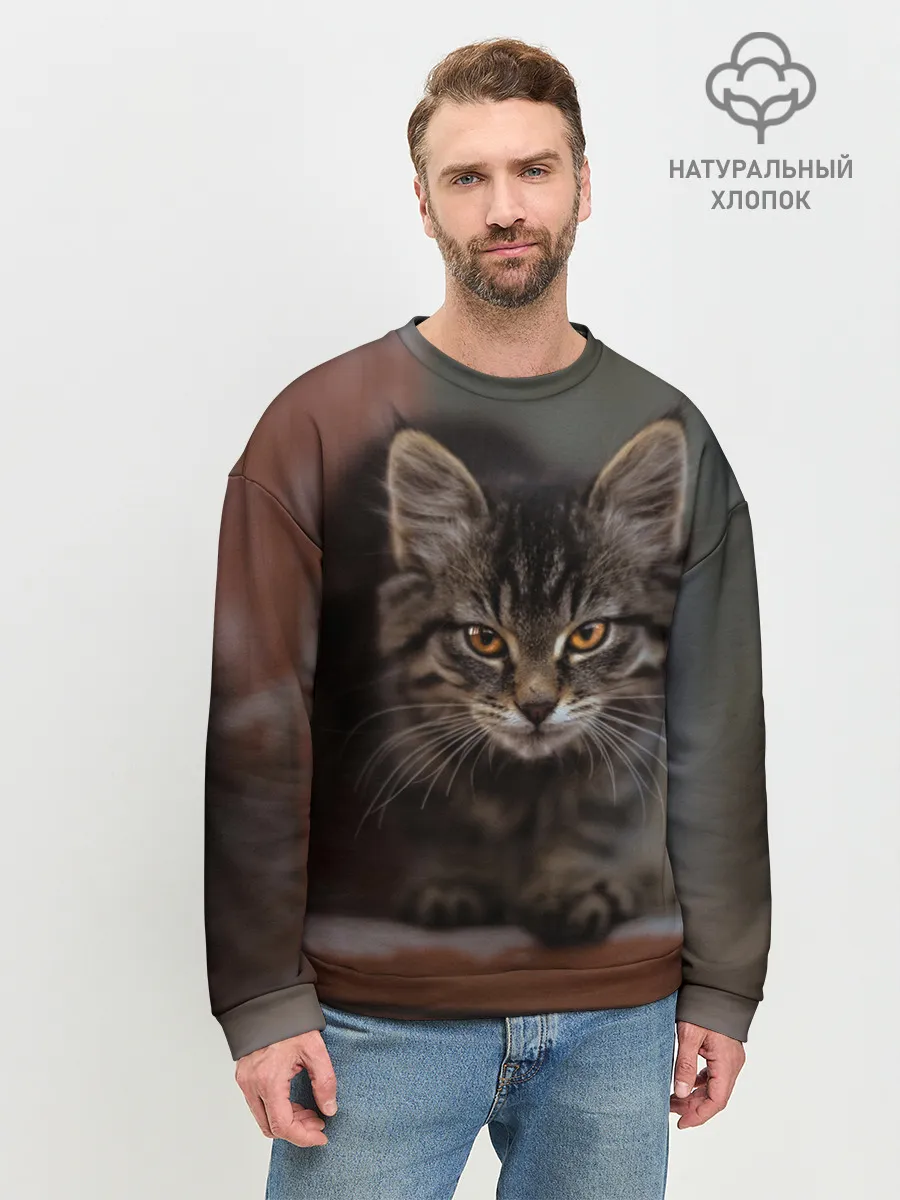 Мужской свитшот базовый / мой внутренний зверь