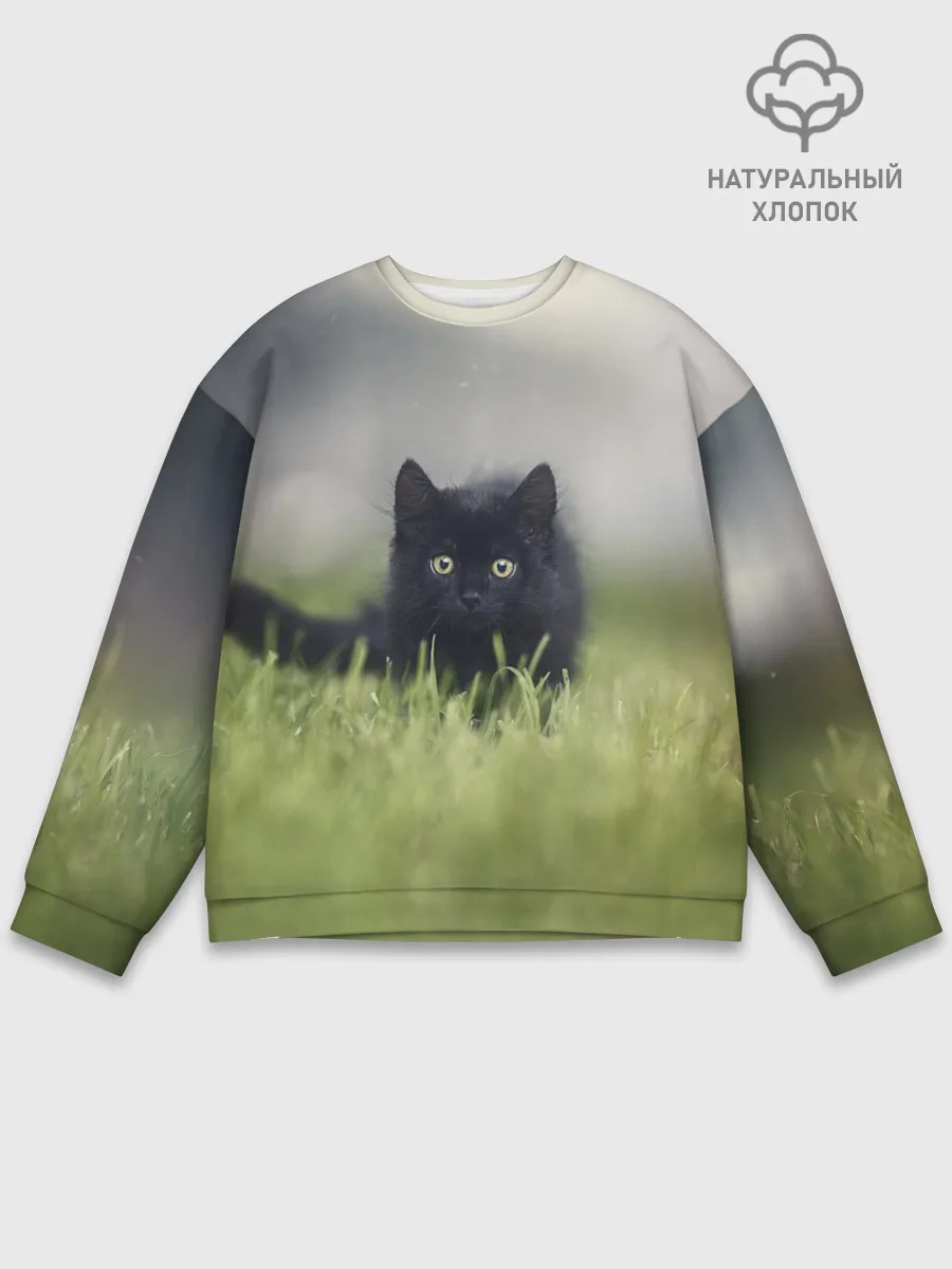 Мужской свитшот базовый / черный кот на лугу