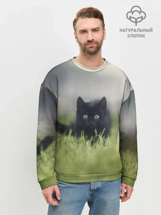 Мужской свитшот базовый / черный кот на лугу