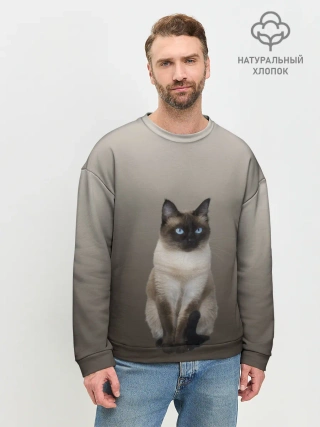 Мужской свитшот базовый / Сиамский кот голубые глаза