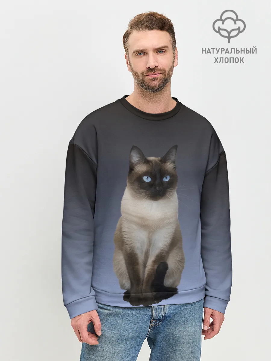 Мужской свитшот базовый / сиамская милая кошечка