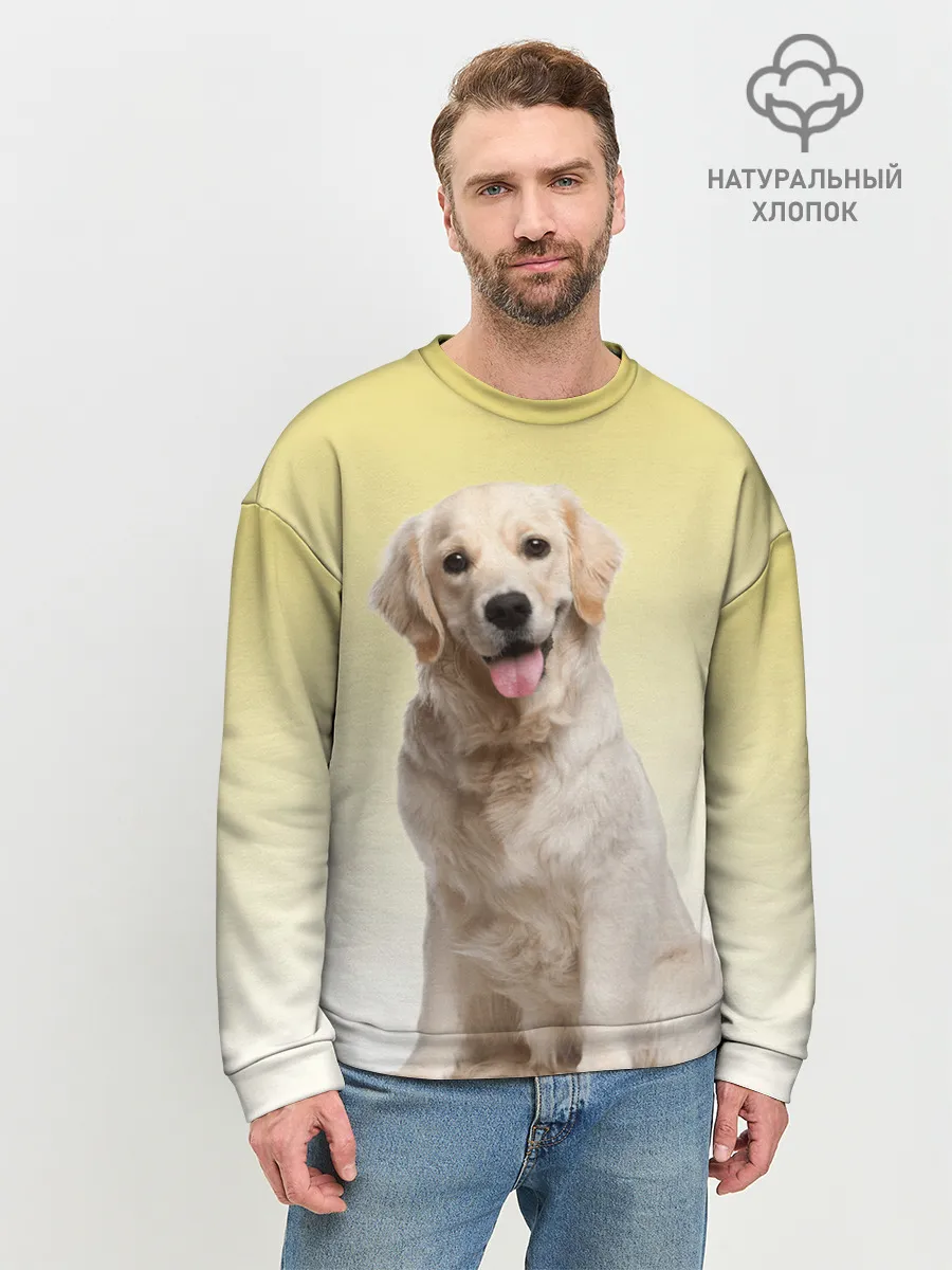 Мужской свитшот базовый / Лабрадор ретривер пес