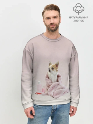 Мужской свитшот базовый / собачка полотенце процедуры
