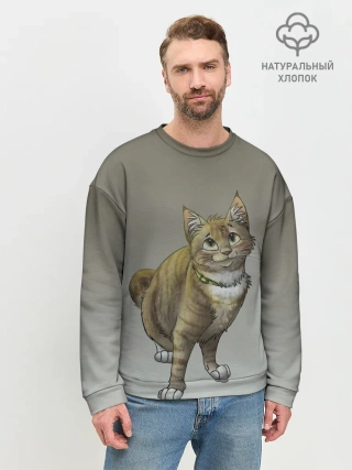 Мужской свитшот базовый / полосатый уличный кот