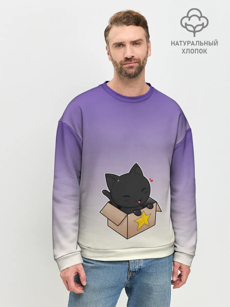 Мужской свитшот базовый / черный котенок в коробке