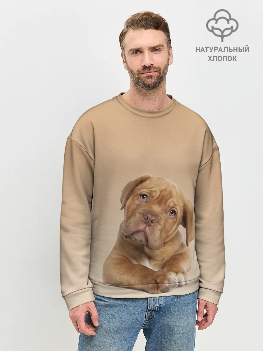 Мужской свитшот базовый / питбуль