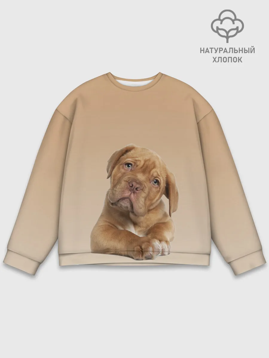 Мужской свитшот базовый / питбуль