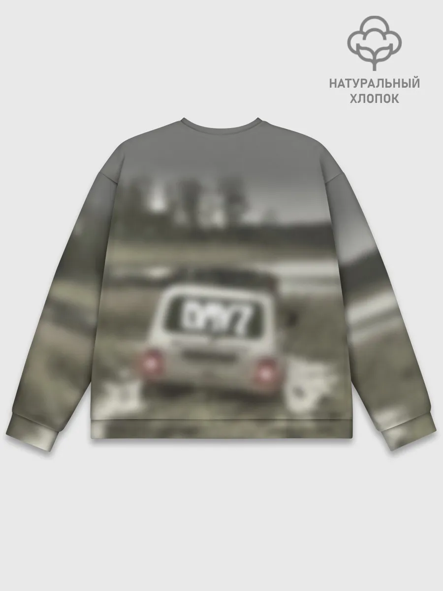 Мужской свитшот базовый / DAYZ | ДЕЙЗИ