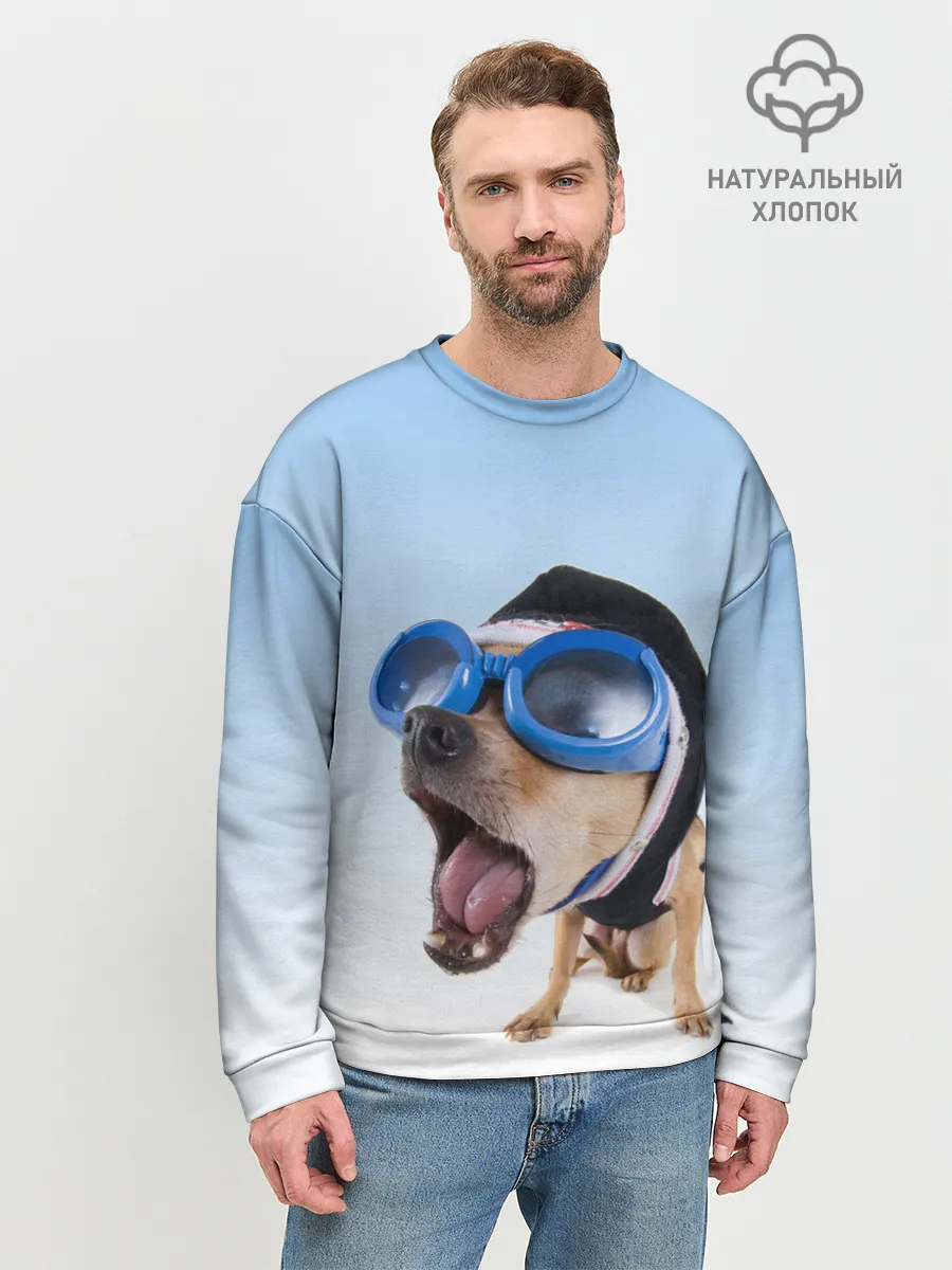 Мужской свитшот базовый / собака в очках