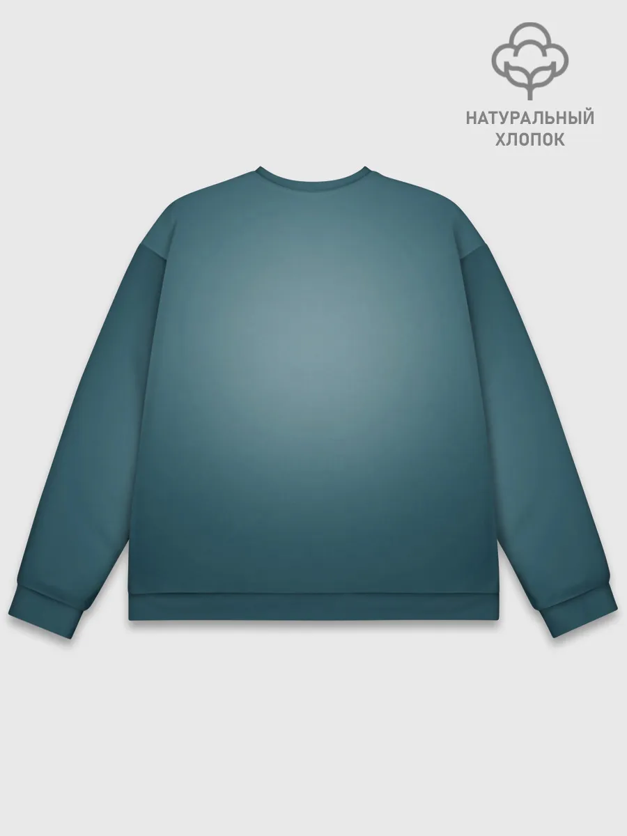 Мужской свитшот базовый / Viking