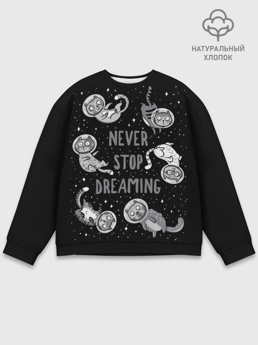 Мужской свитшот базовый / Коты в Космосе