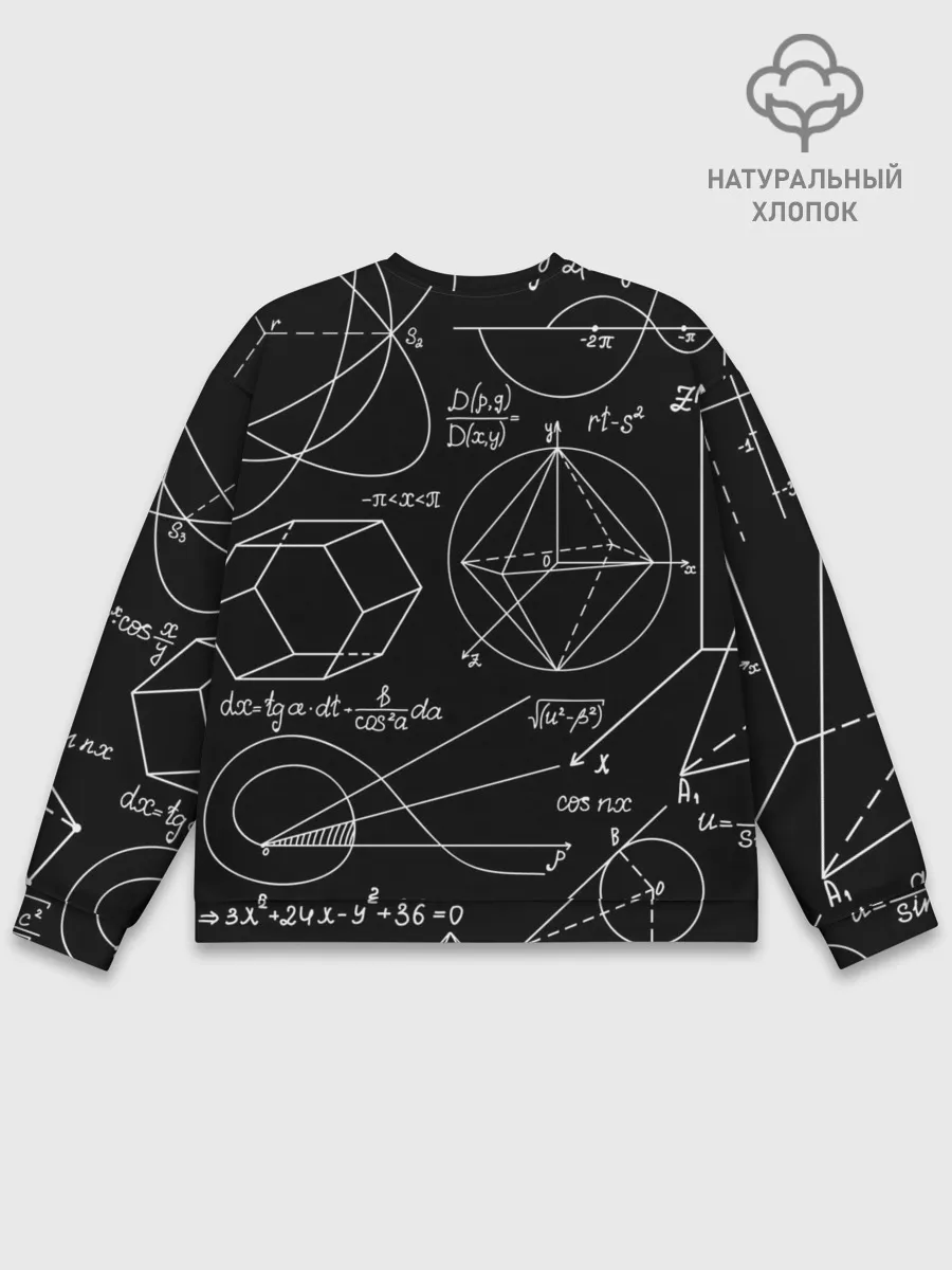 Мужской свитшот базовый / Геометрия