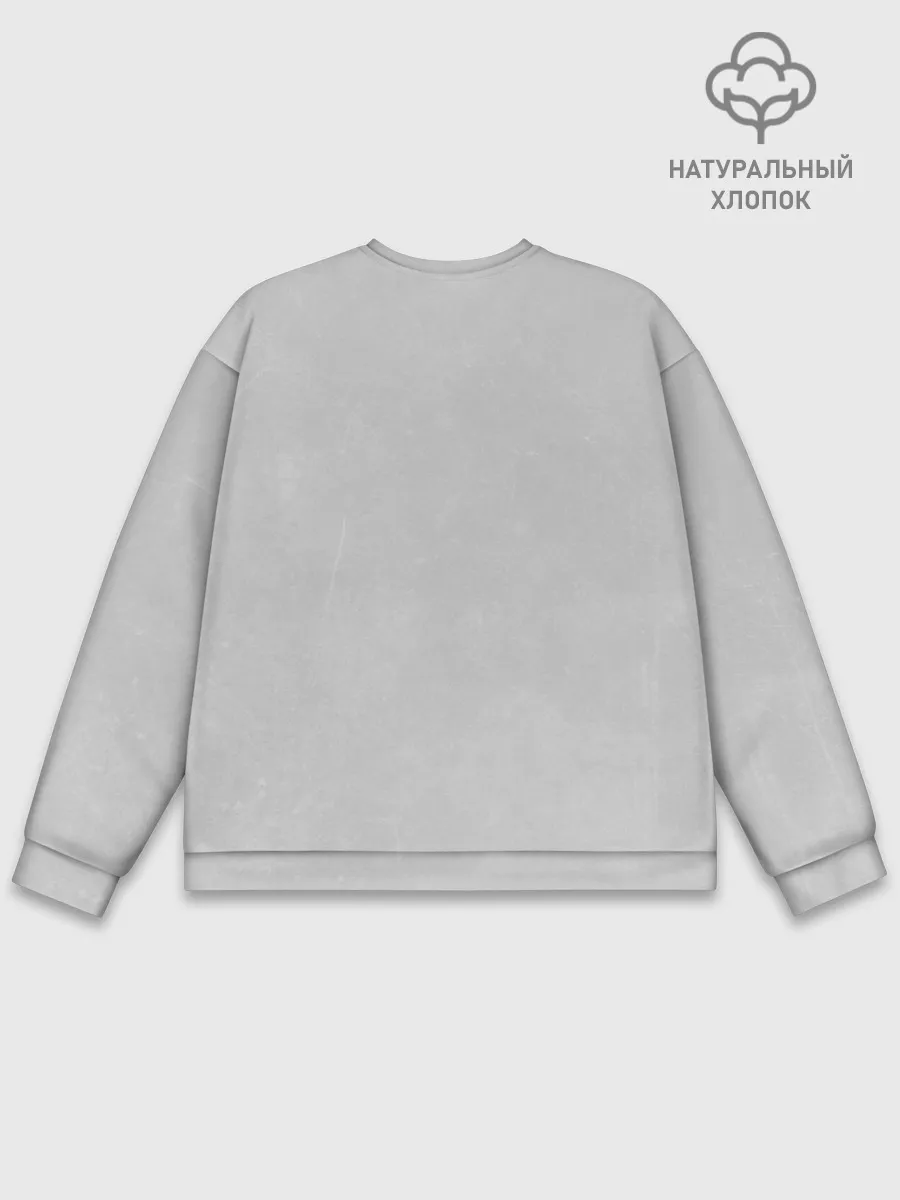 Мужской свитшот базовый / Viking