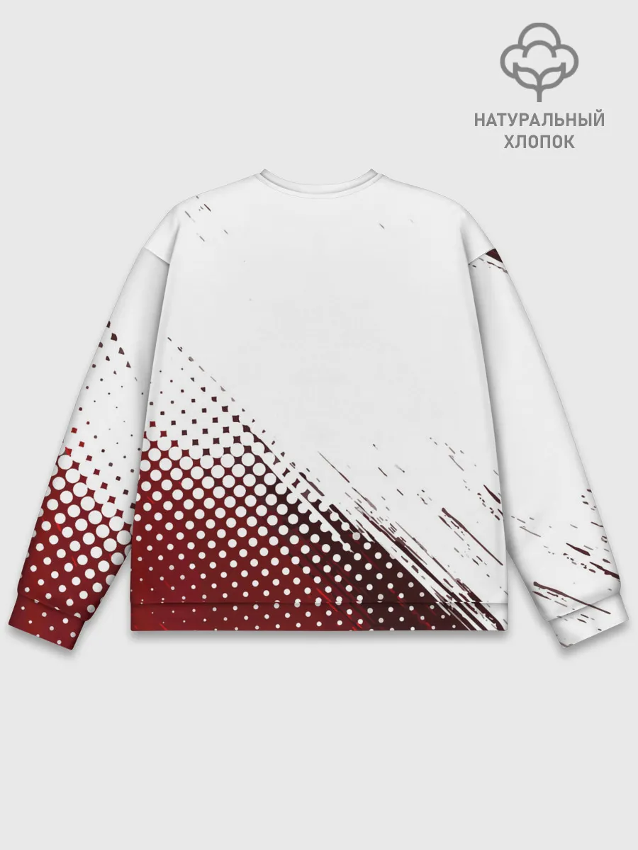 Мужской свитшот базовый / Dayz.