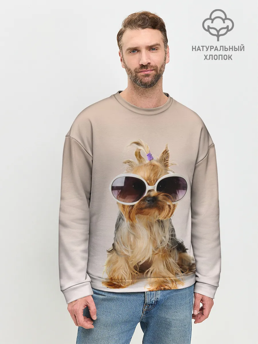 Мужской свитшот базовый / собака в очках